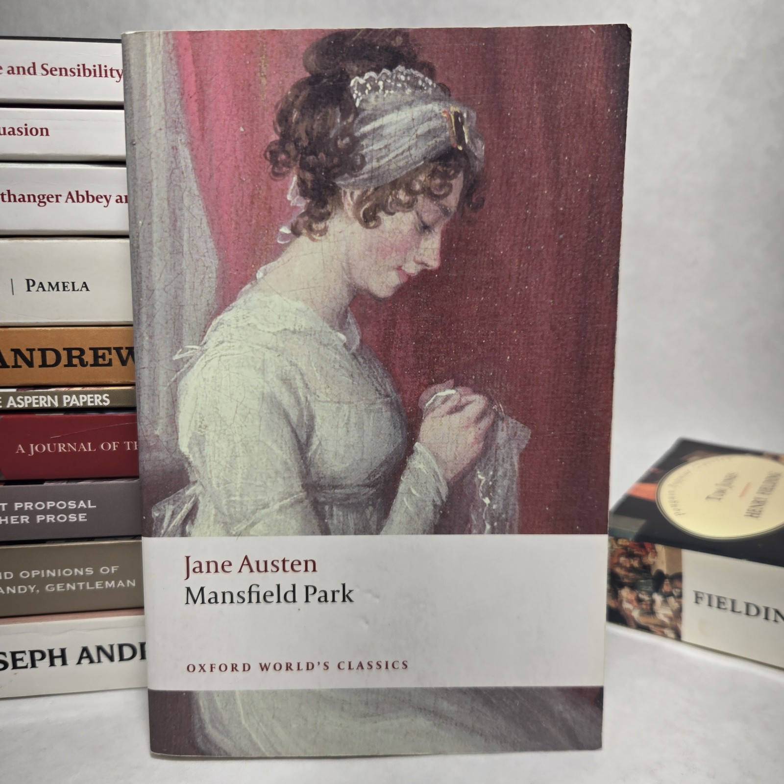 Classic Literature Paperback Lot Austen Defoe Fielding Swift Sterne Richardson H