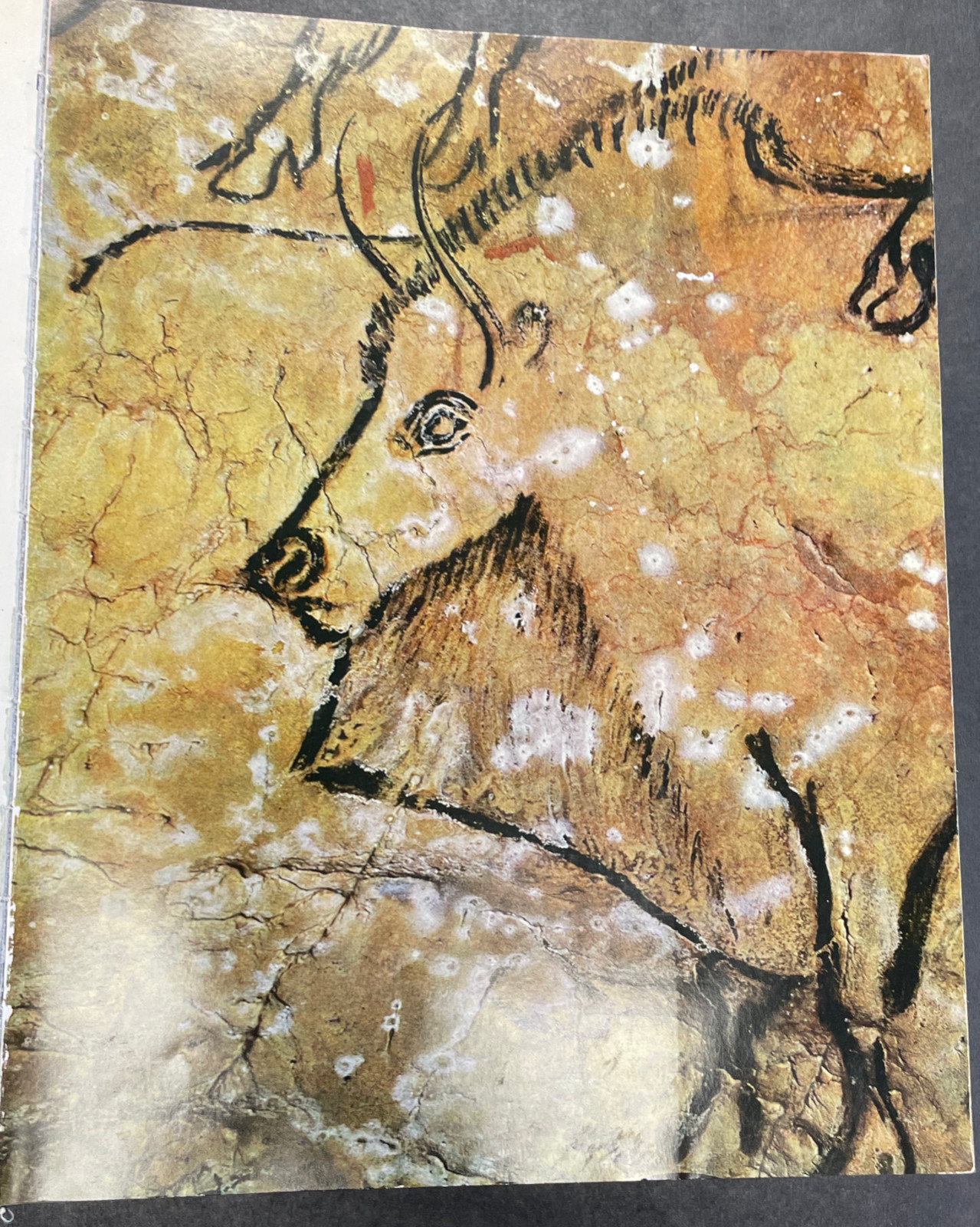 Leroi-Gourhan 1967 TREASURES OF PREHISTORIC ART Abrams Inc Hardcover Ex-Library