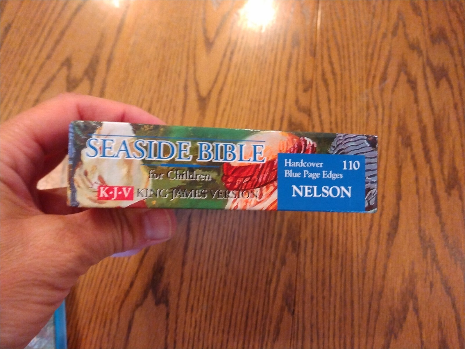 Children’s Bible KJV Seaside Bible Illustrated Nelson Hardcover blue edge