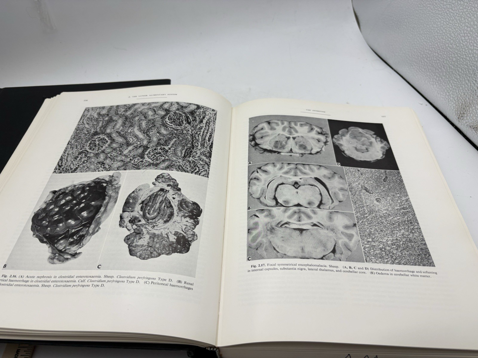 Pathology of Domestic Animals Vol 1 & 2 2nd Ed Jubb Kennedy 1970 HC Set