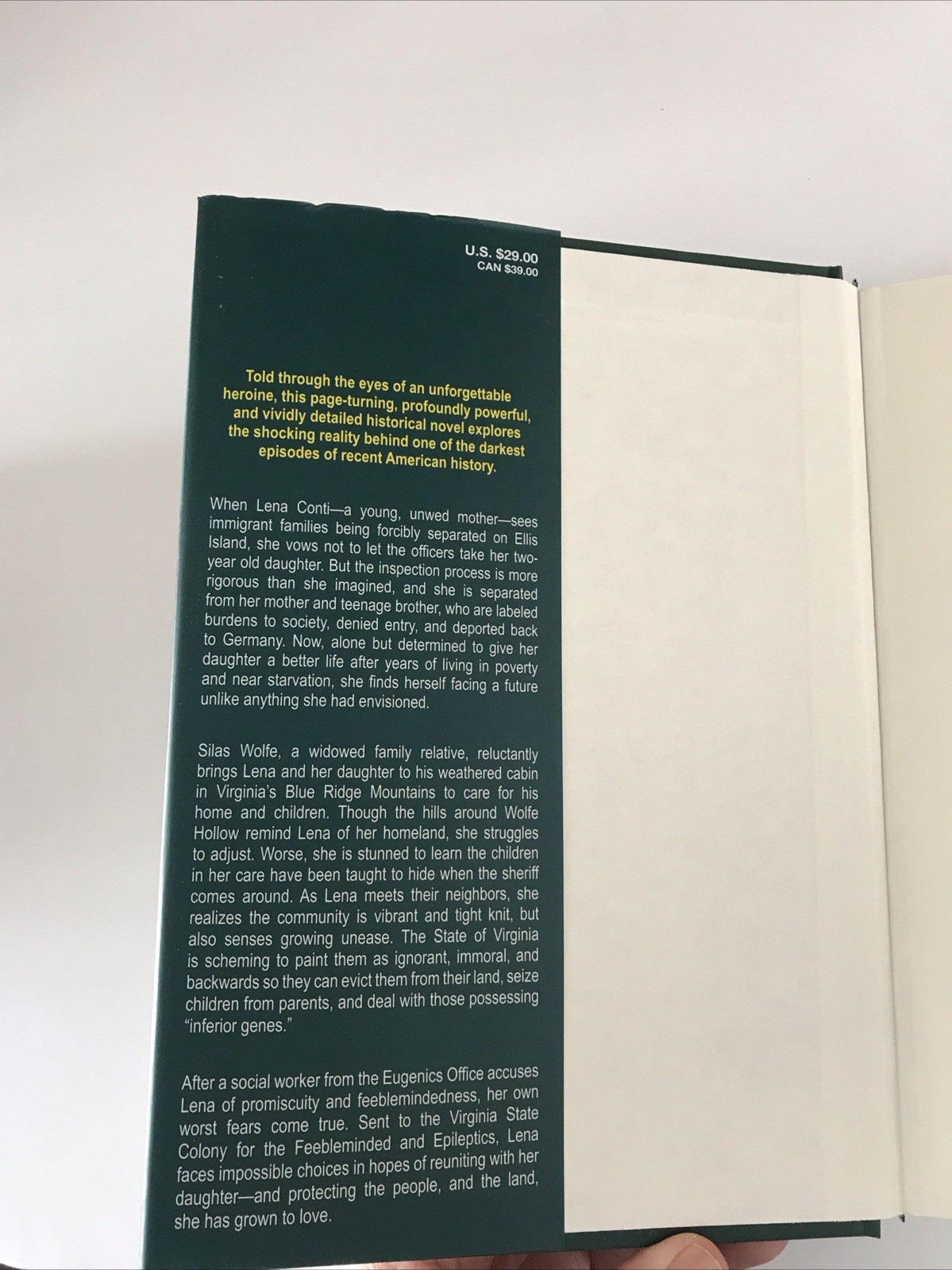 THE LIES THEY TOLD Book Hardcover New