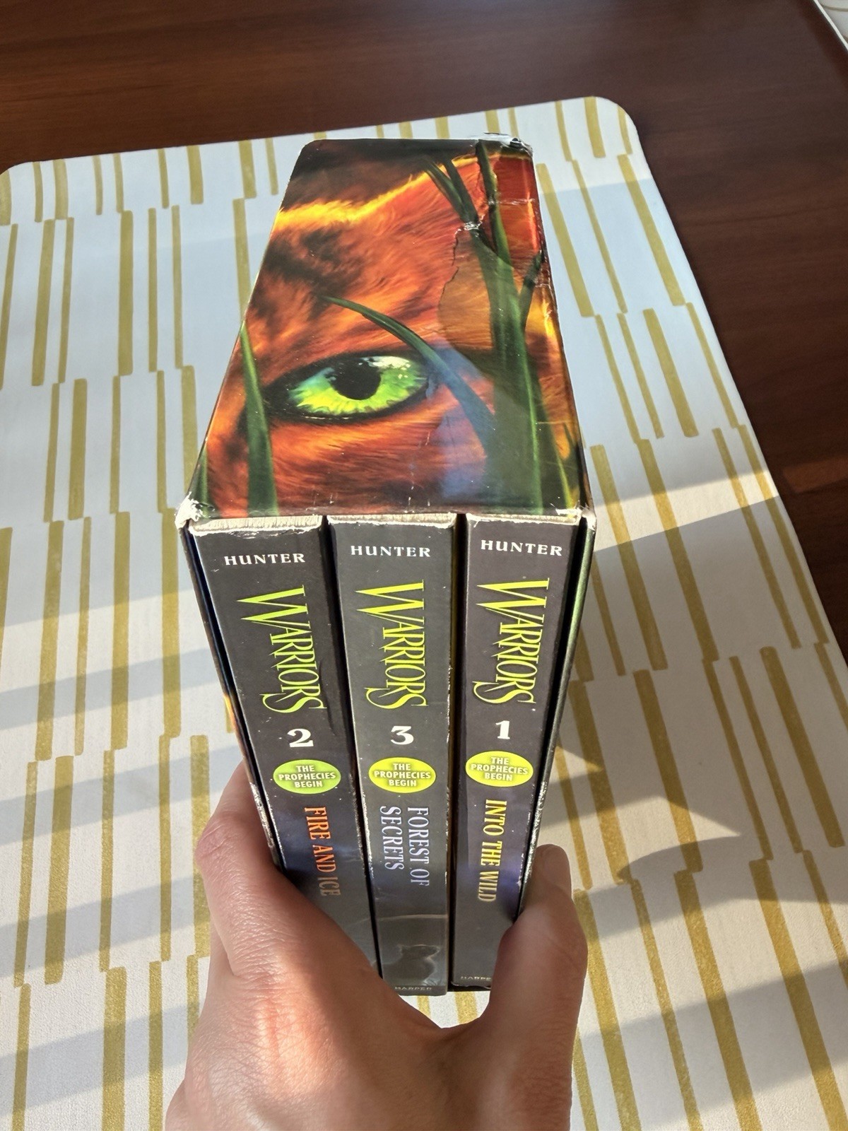 Erin Hunter Warriors: The Prophecies Begin Box Set Books 1-3 (English)