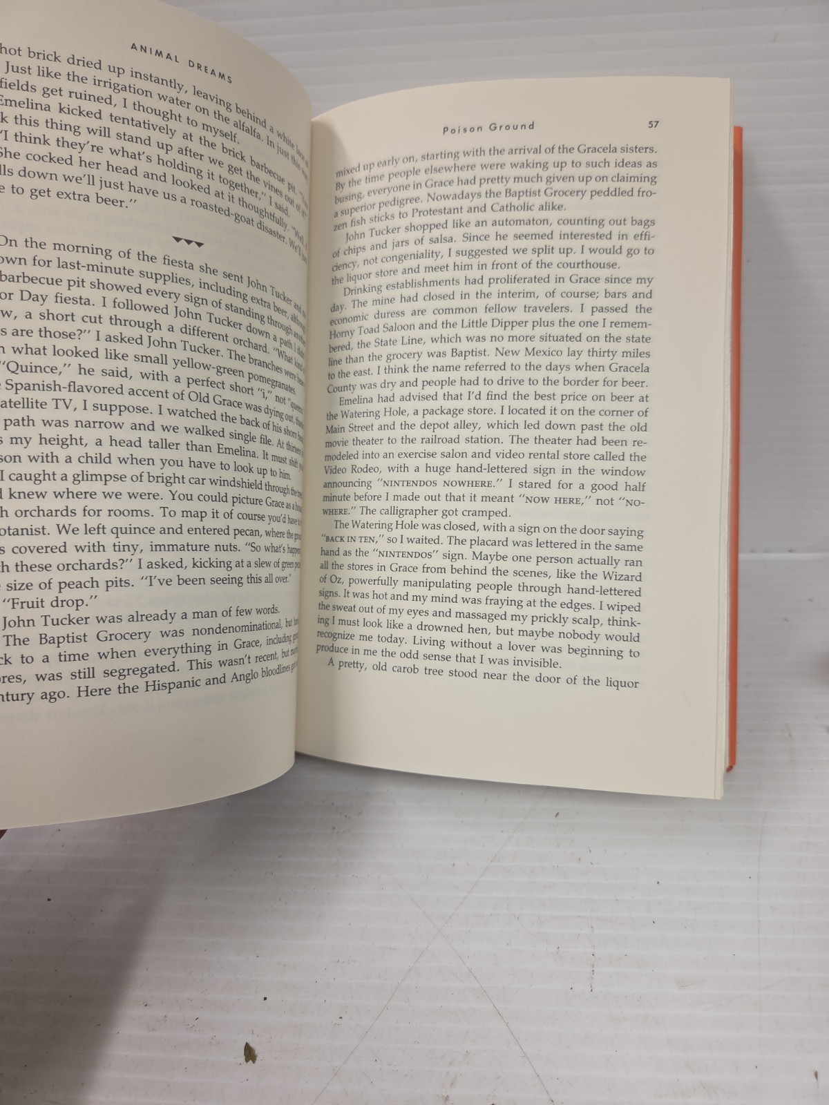 Animal Dreams by Barbara Kingsolver (1990, Hardcover) 1st Ed