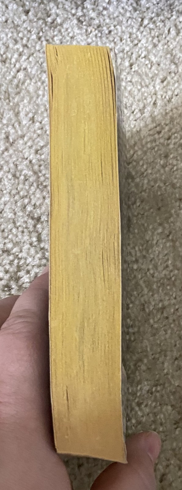 Vintage The Wanting Book Campbell Black Paperbacks From Hell PB First Edition
