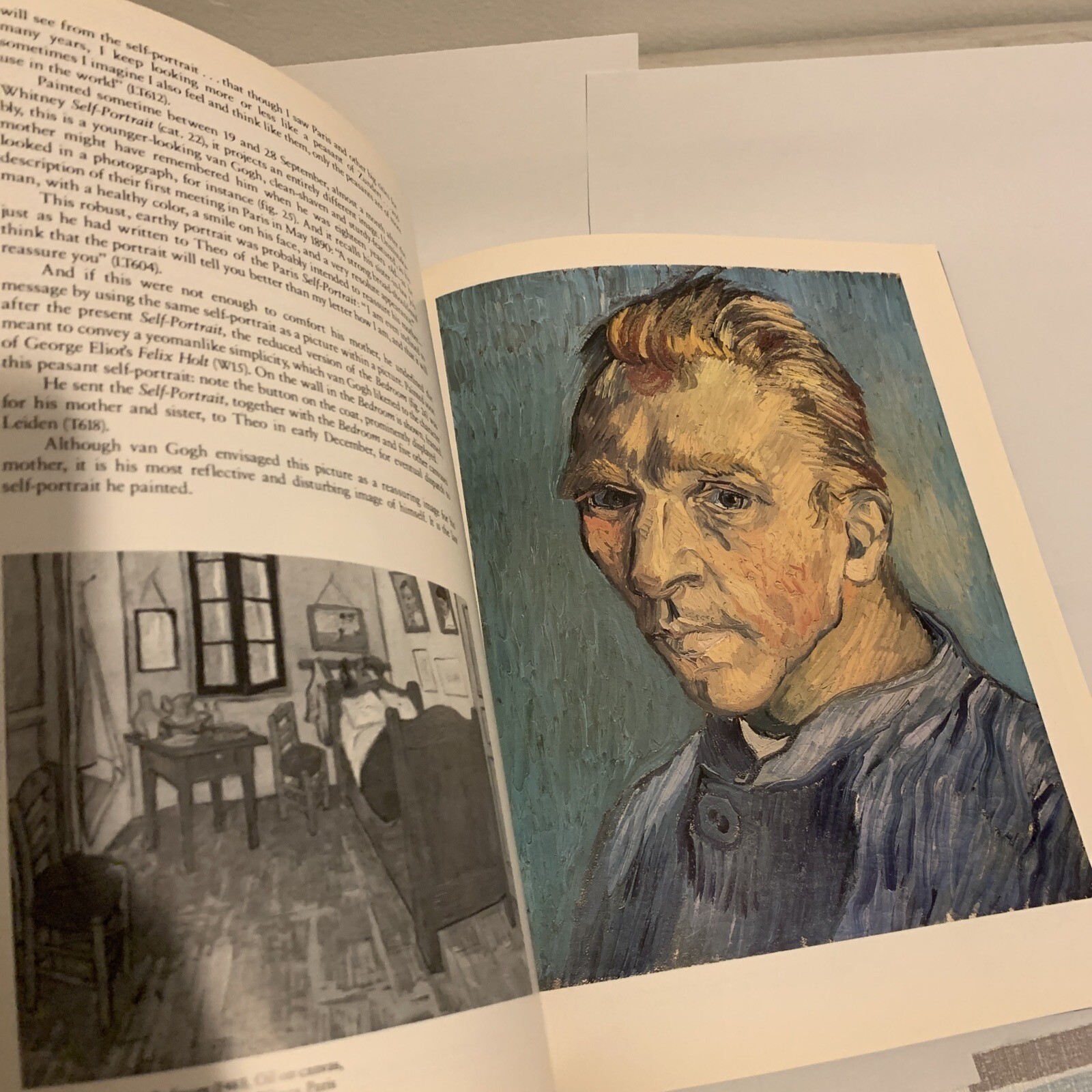 Van Gogh in Saint-Remy and Auvers Hardcover Art Book