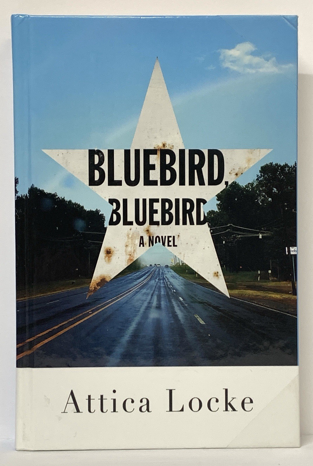 Bluebird, Bluebird Attica Locke Thorndike 2017 Press Large Print Library Binding