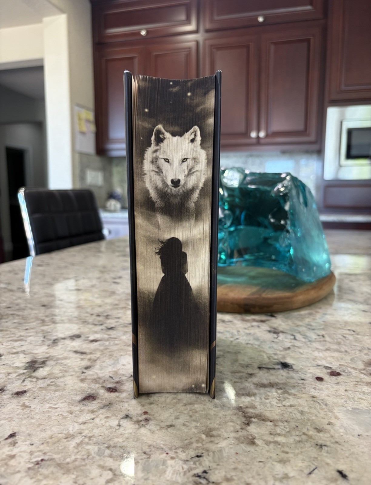 Direbound RARE Collector’s Edition (Wolves of Ruin), By Sable Sorensen