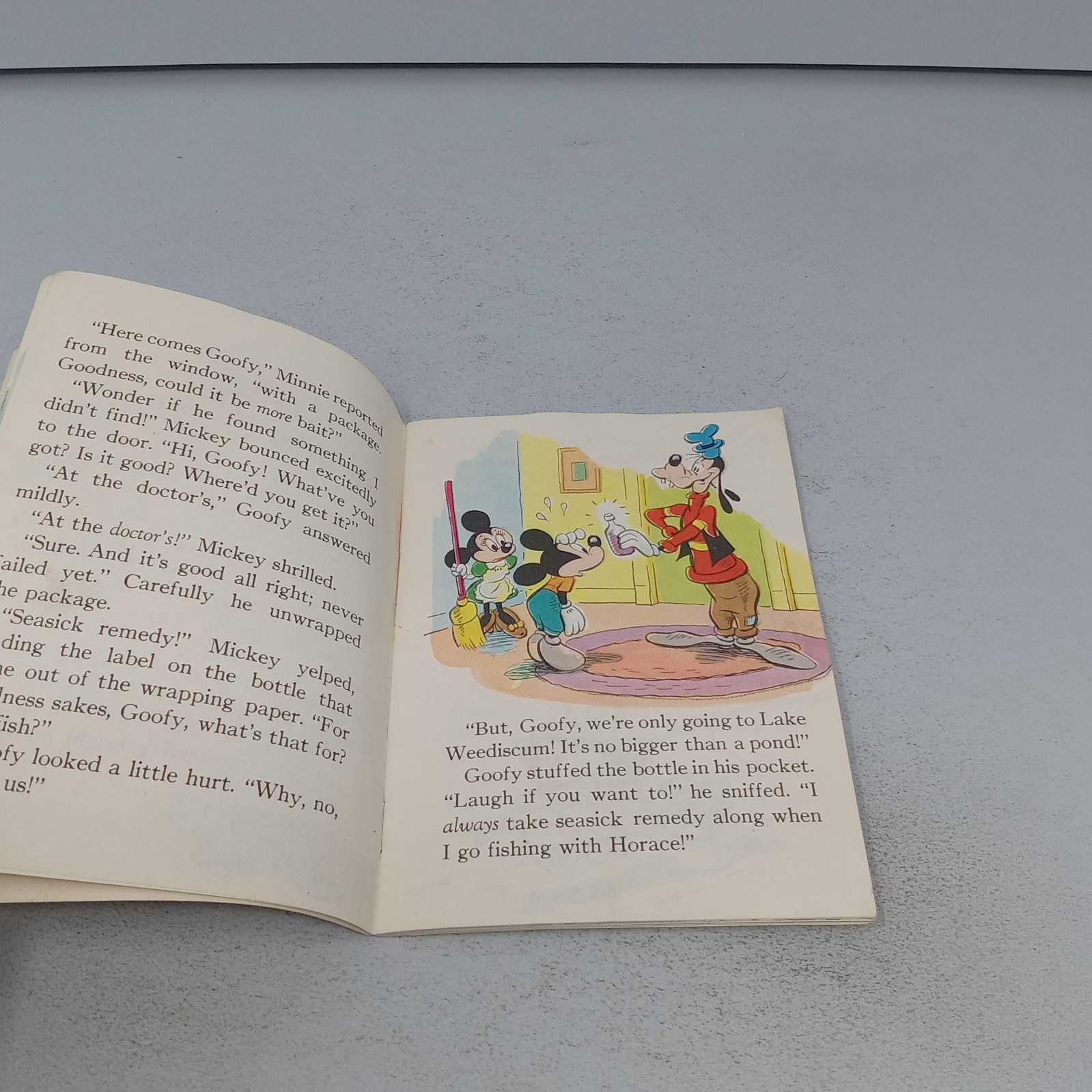 Walt Disney’s Mickey Mouse’s Summer Vacation 1948 Whitman Publishing Company PB