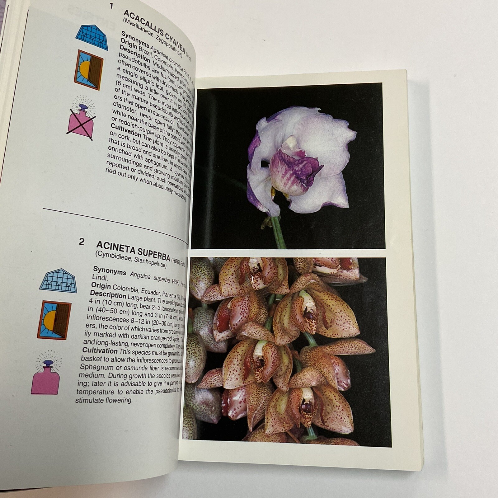 Simon & Schuster’s Guide To Orchids Paperback Book Color Photos Flowers Plants