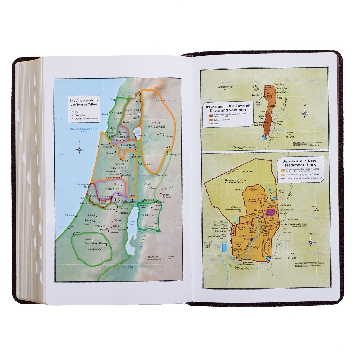 The Holy Bible KJV Giant Print Indexed Jesus Words In Red / Dark Brown