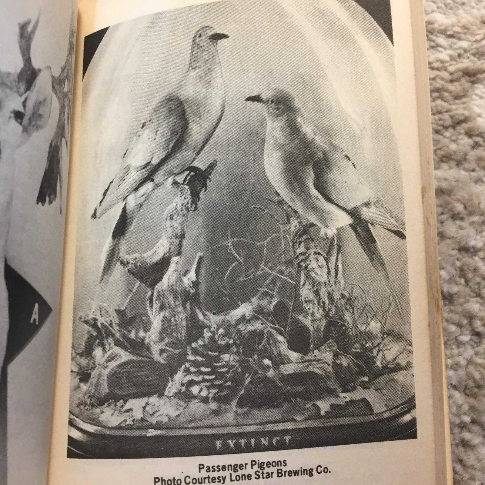 The Tomlinson Lone Star Book Of Texas Records 1977 Edition Texas Superlative