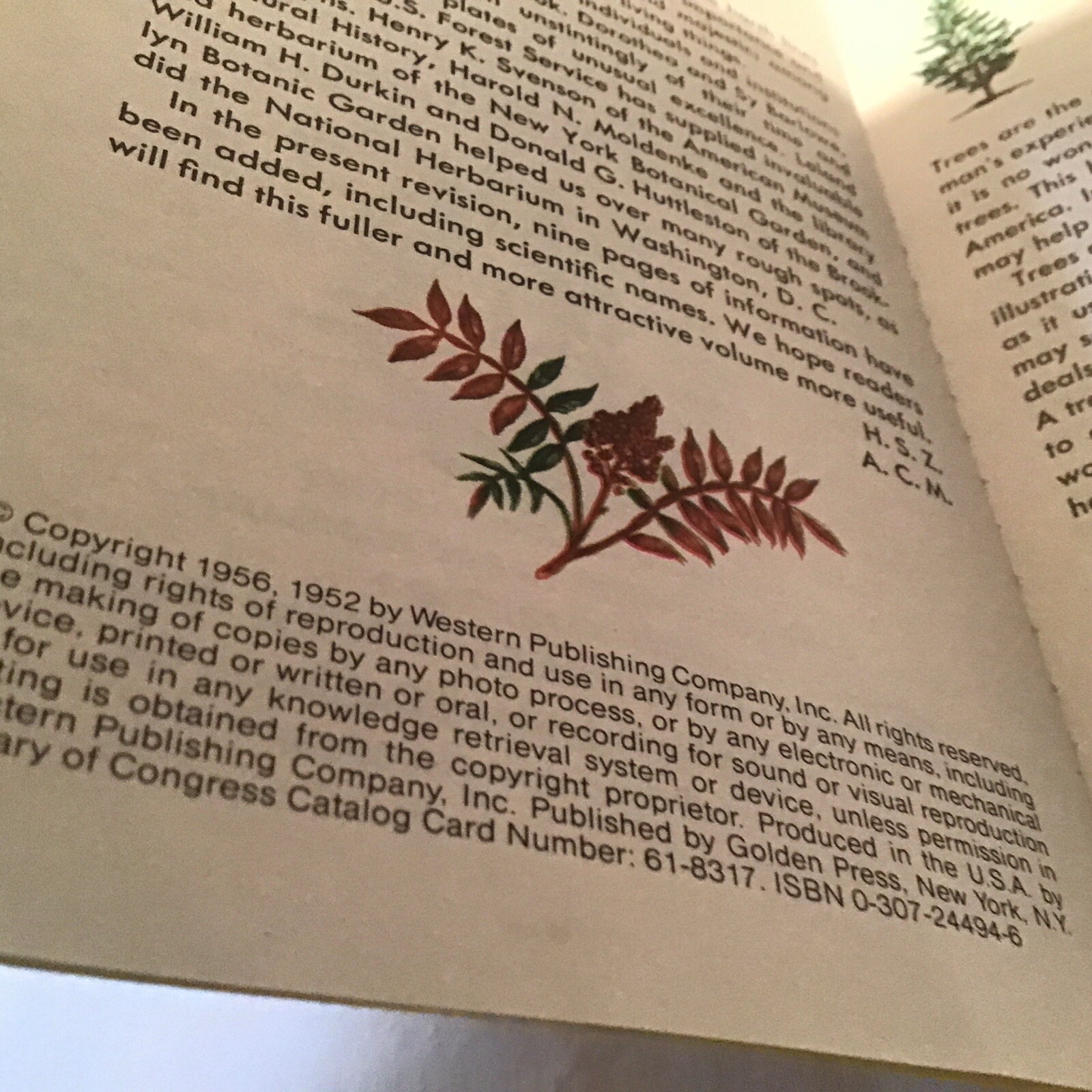 A Golden Guide To Trees Booklet By Zim/Martin 160 Pages 1952