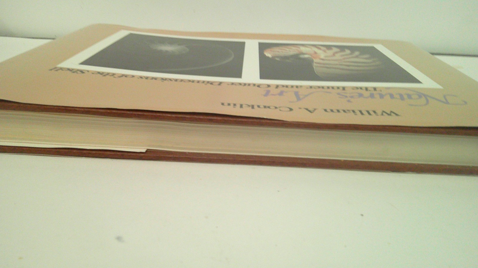 Nature’s Art : The Inner and Outer Dimensions of the Shell by William A. Conklin