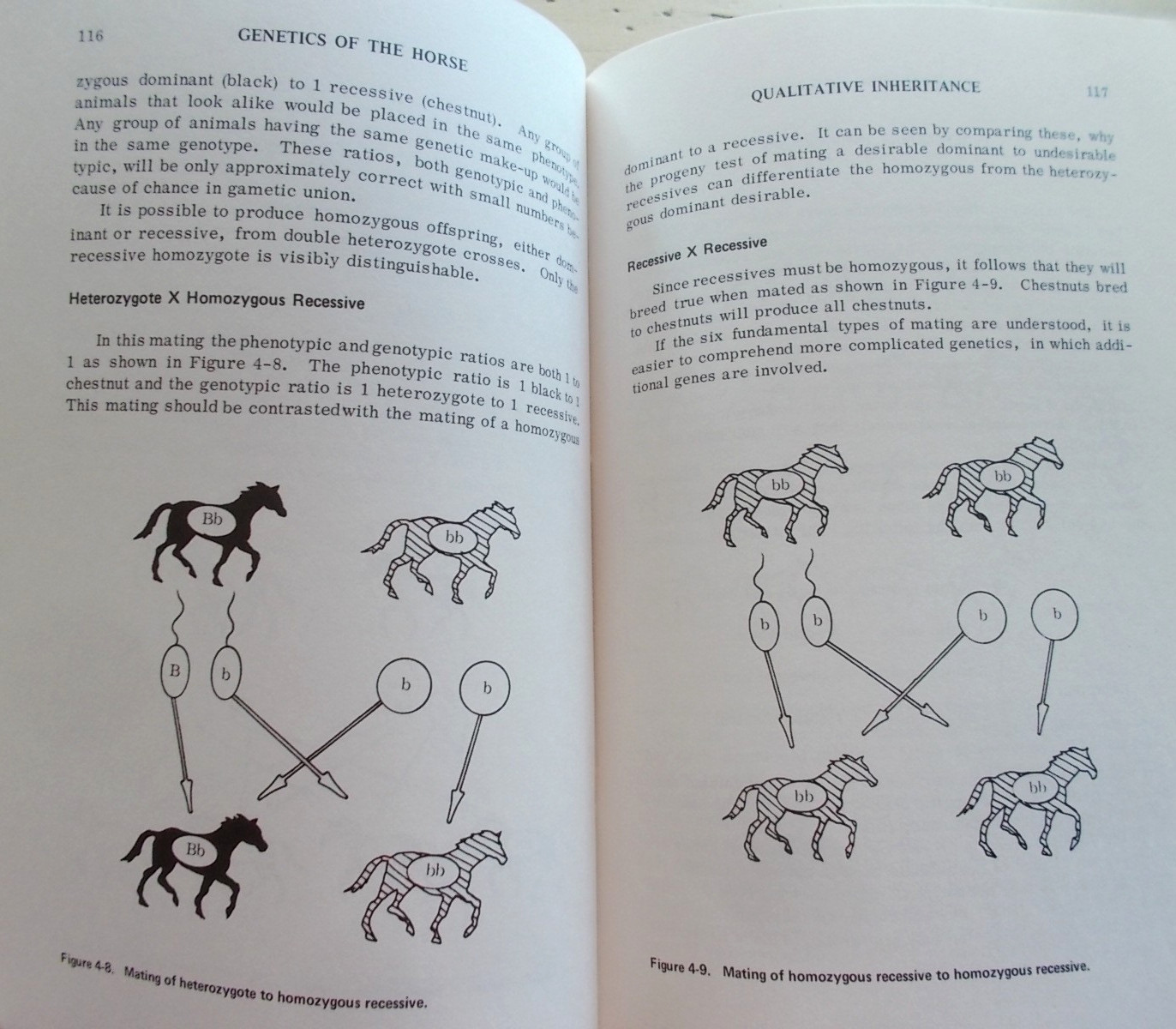 Lot 7 Vintage Horse Riding Books Techniques Vet Genetics Dressage 3-Day Jumping