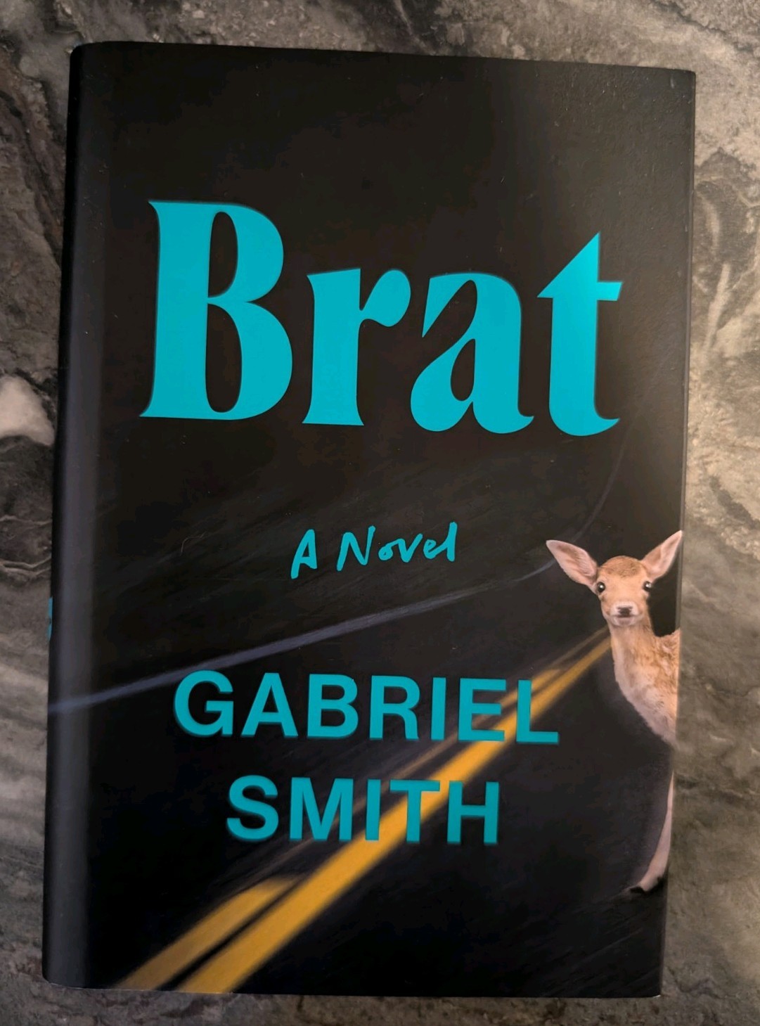 Brat a Novel by Gabriel Smith (2024, Hardcover) Very Good Condition