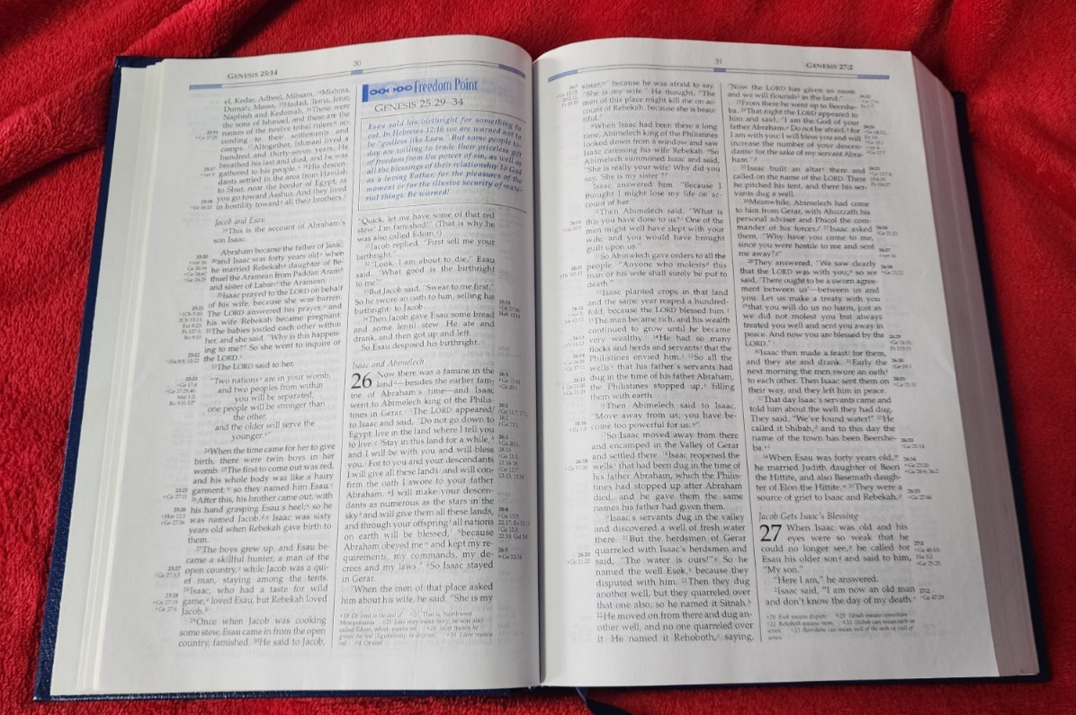 Freedom in Christ Bible New International Version Discovery Zondervan 2001 HB