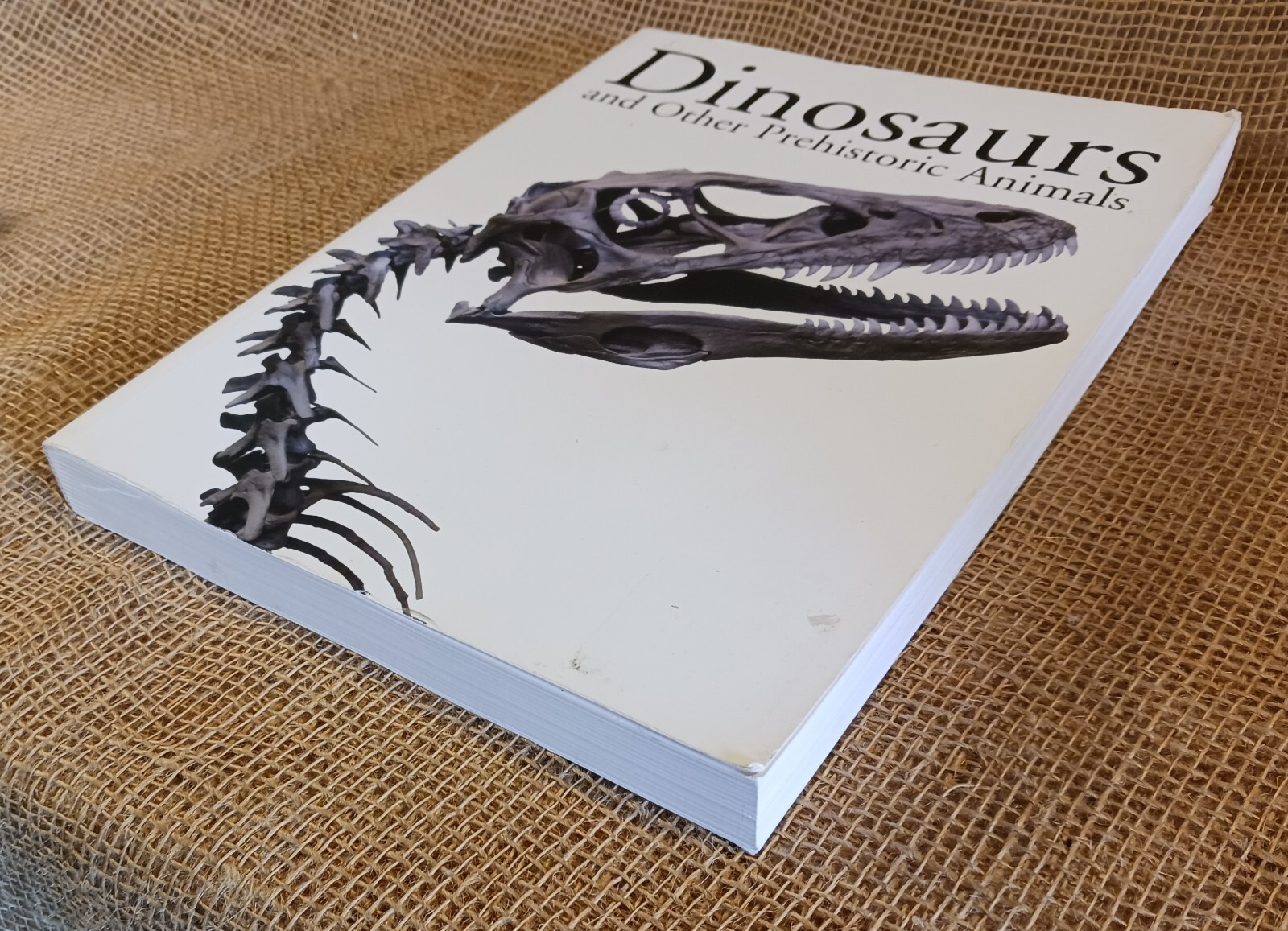 dinosaurs and other prehistoric animals by amber