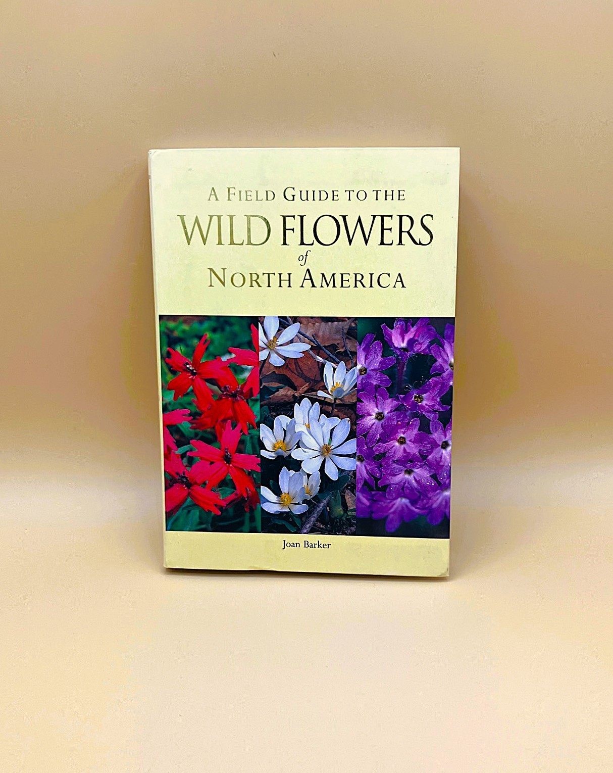 Gardener’s Lot of 4 Books, Very Good, The Orchid Show, Etc.