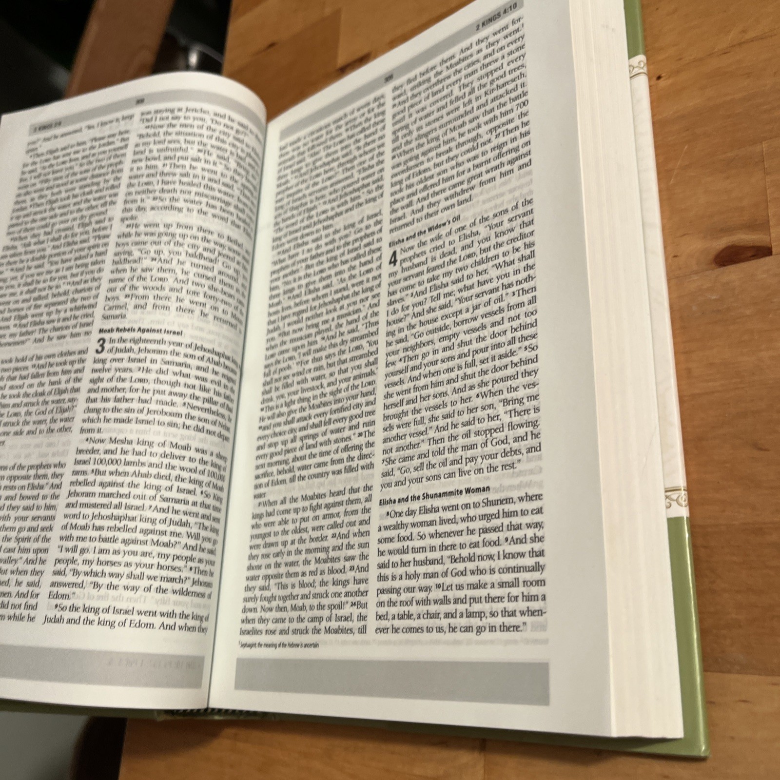 ESV Daily Reading Bible, Hardcover, Through The Bible In One Year – VERY GOOD