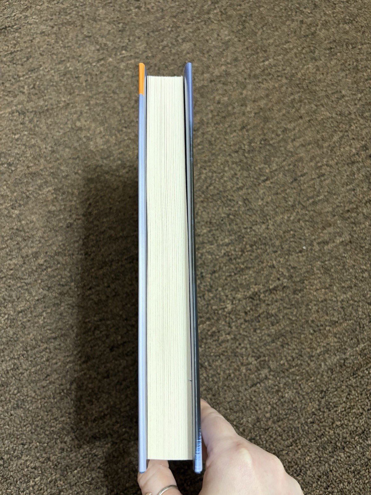 Mary Kubica It’s Not Her Hardcover 2026 Book of the Month Book Club Edition