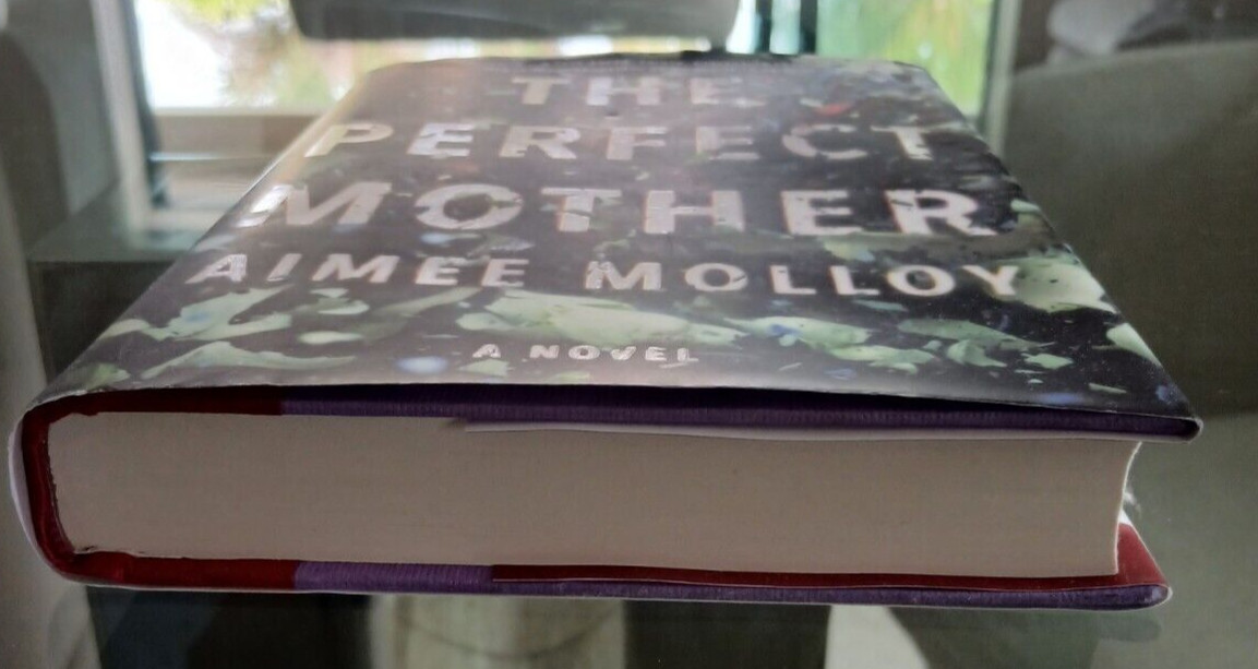 The Perfect Mother By Aimee Molloy Hardcover 317 Pages