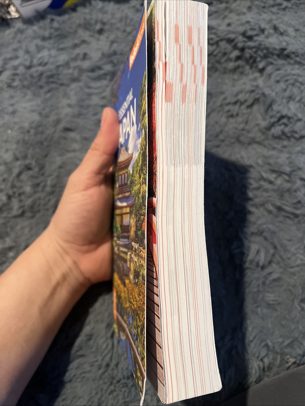 Fodor’s Travel Guides Fodor’s Essential Japan (Paperback) B-493