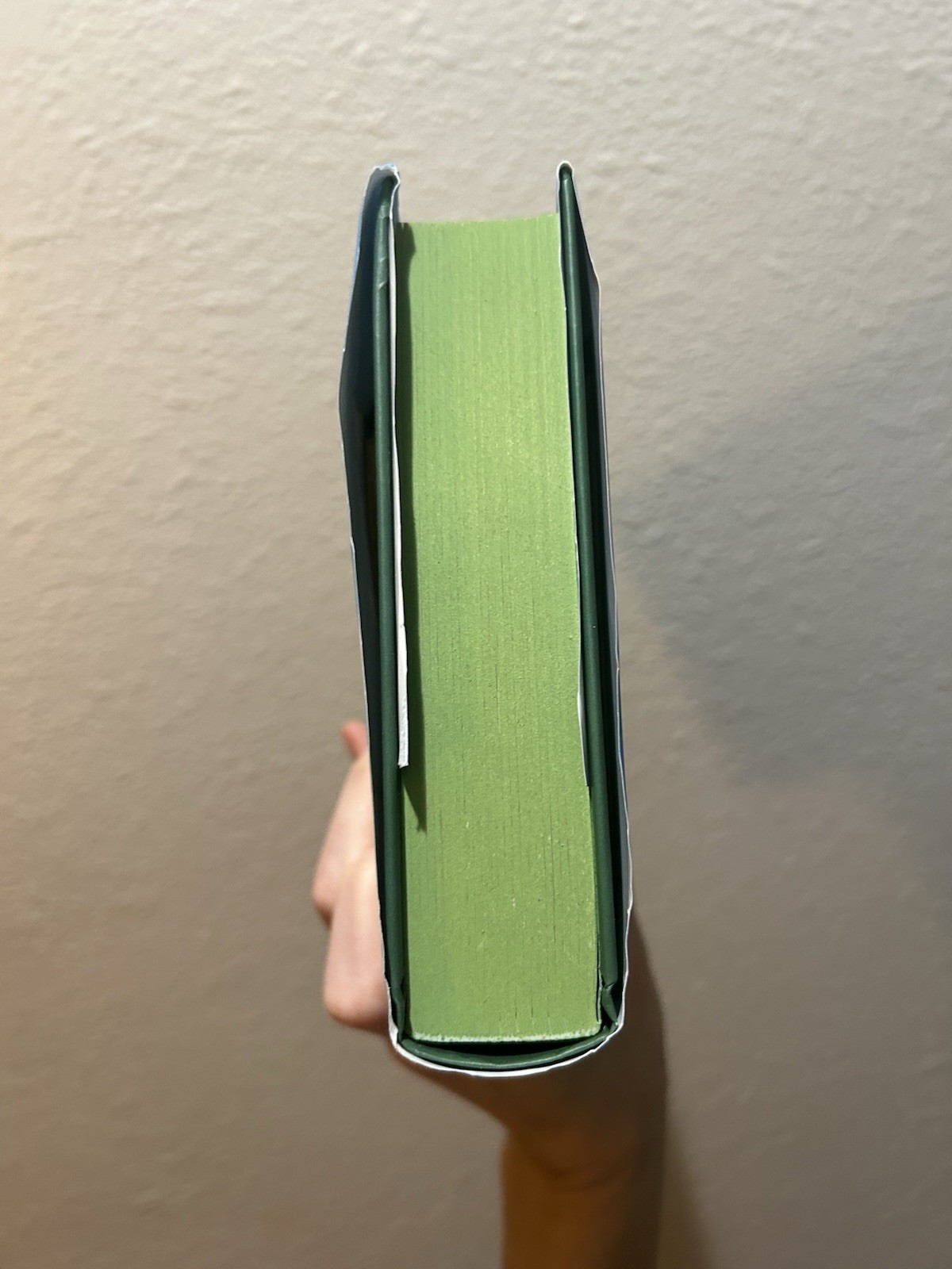 The Cinnamon Bun Book Store Laurie Gilmore (TikTok Exclusive, Special Edition!)