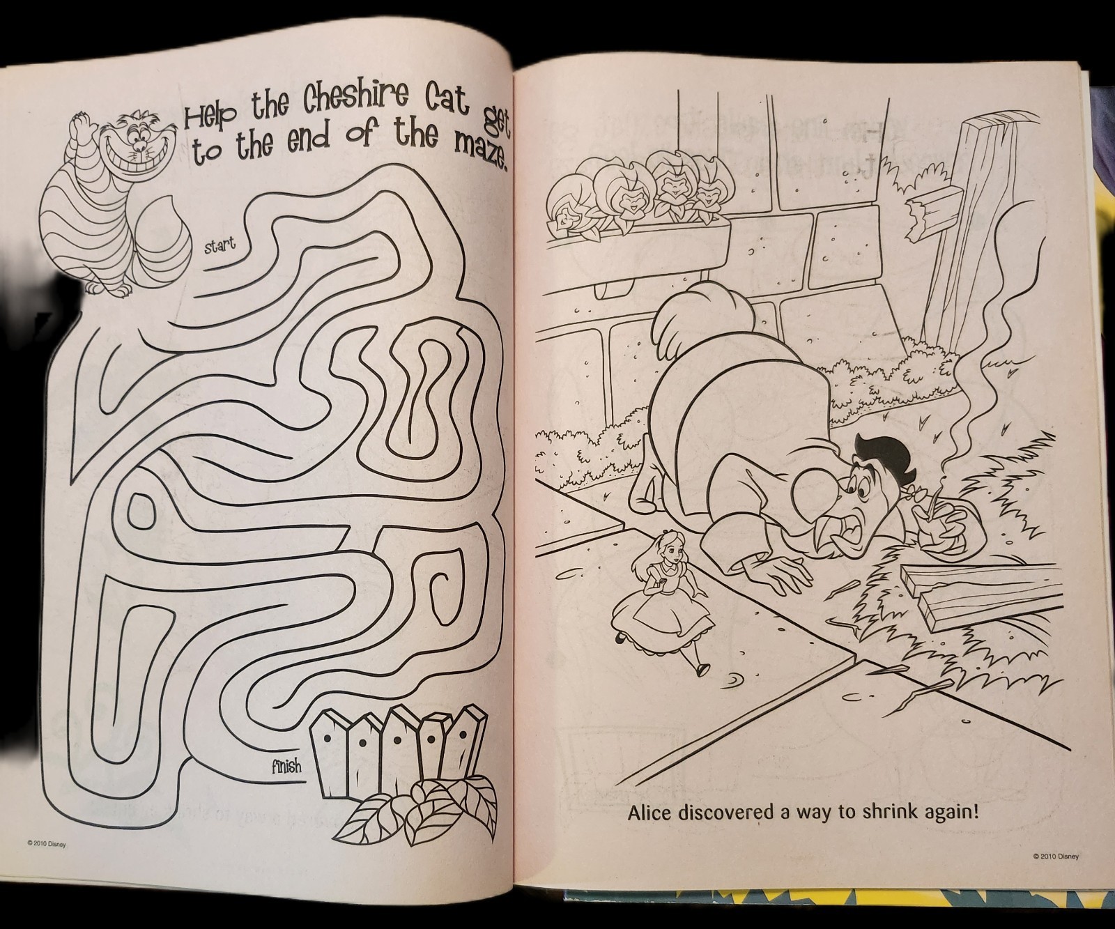 DISNEY ALICE IN WONDERLAND COLORING BOOKS (64 PAGES EACH) FREE SHIPPING USA