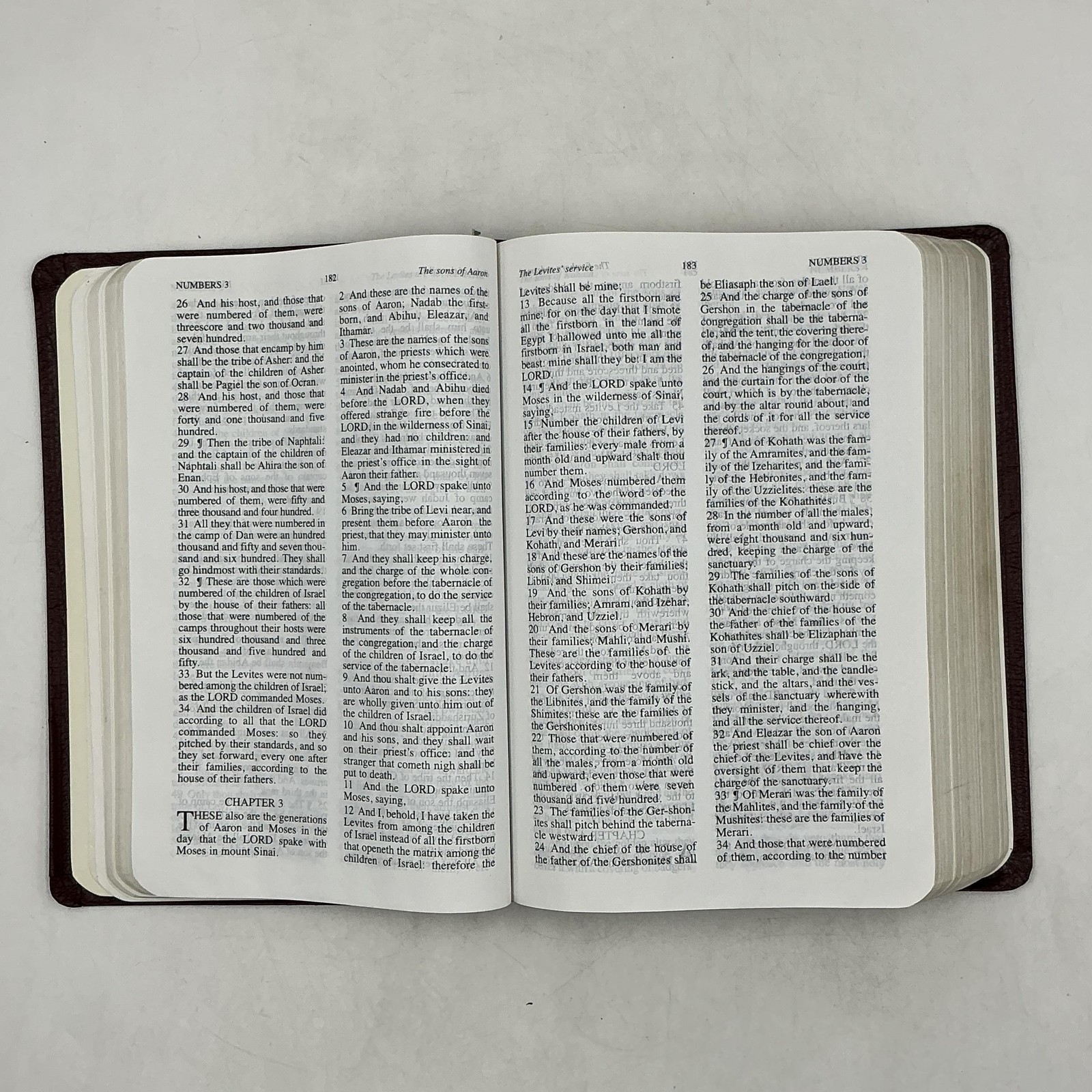JACK VAN IMPE PROPHECY BIBLE Jack Van Impe Hardcover Faux Leather Burgundy