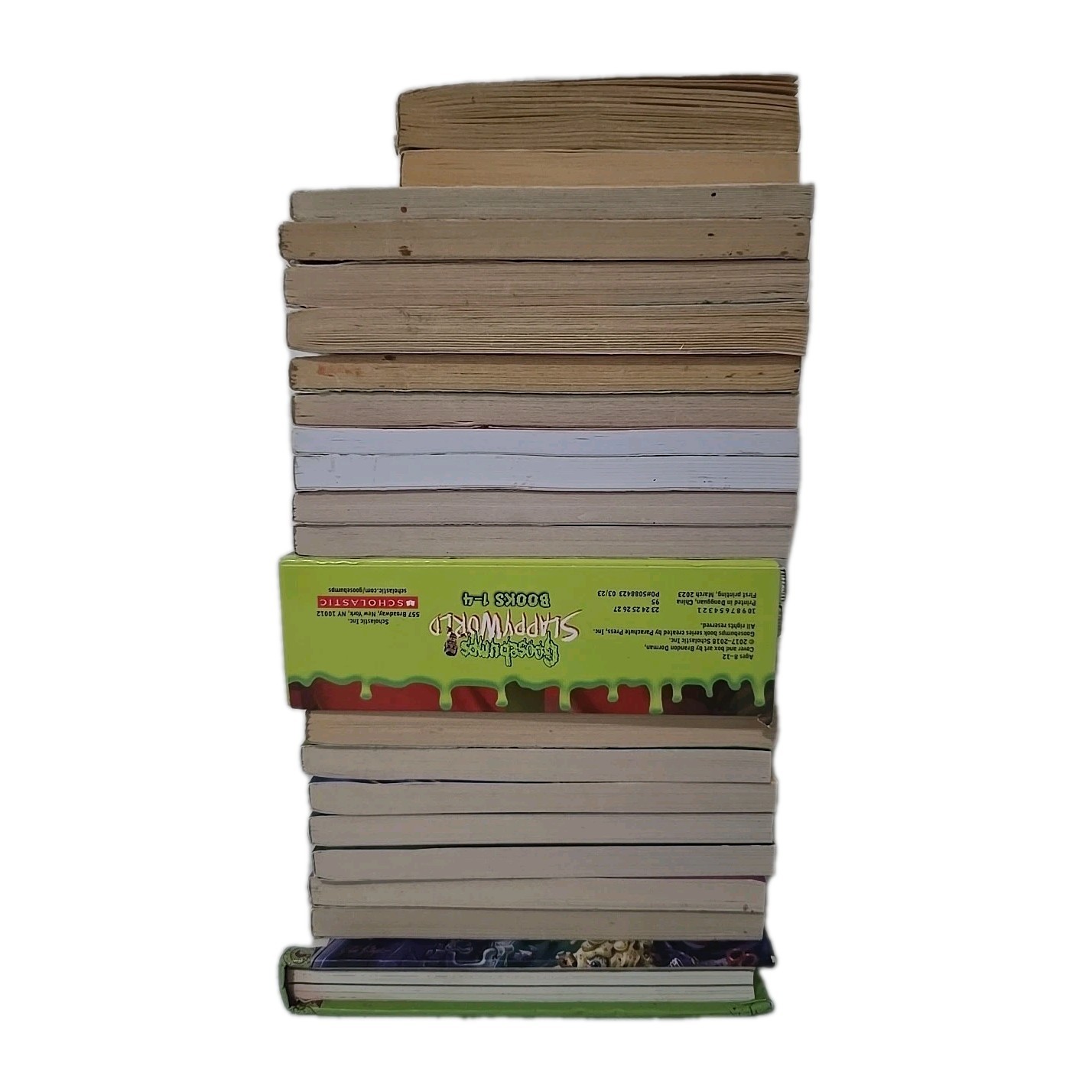 R.L. Stine Book Lot Of 24- Fear Street, Twisted, Rotten School, Goosebumps,
