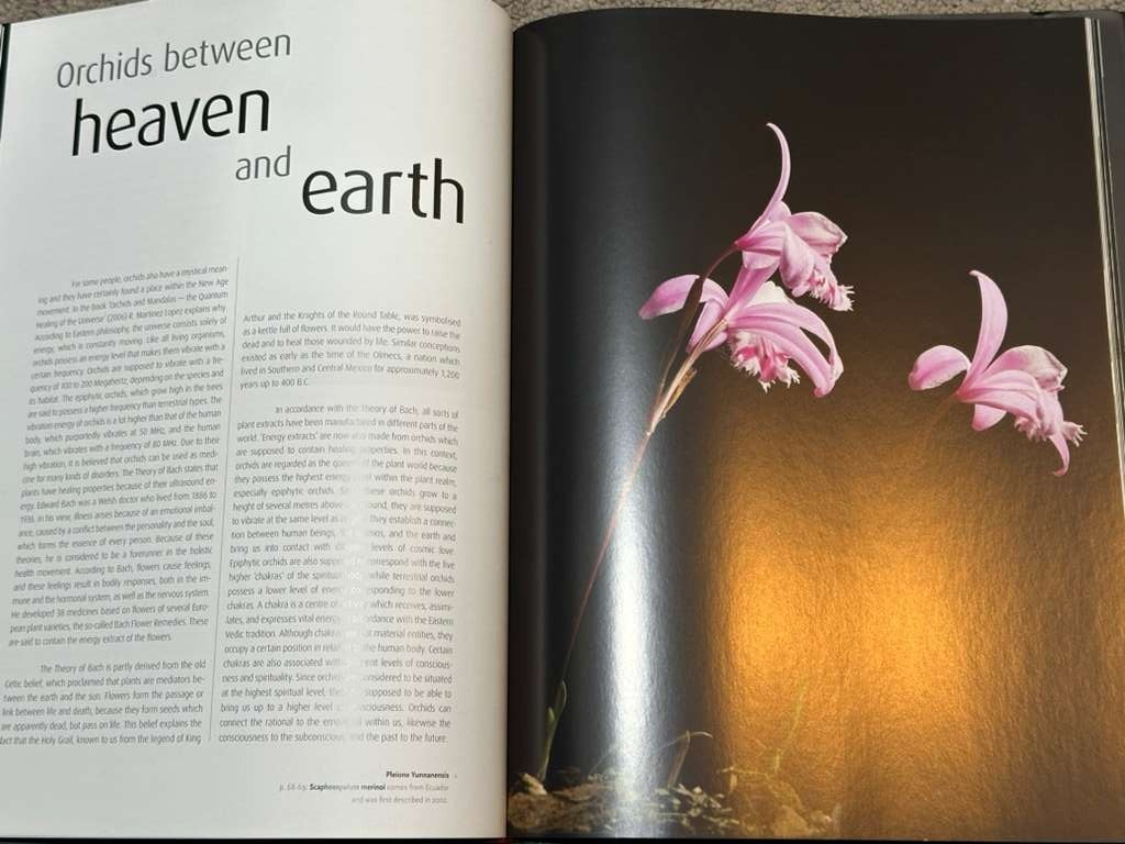 Orchid: The Fatal Attraction by Anne Ronse | Hardcover | Rare Botanical Book