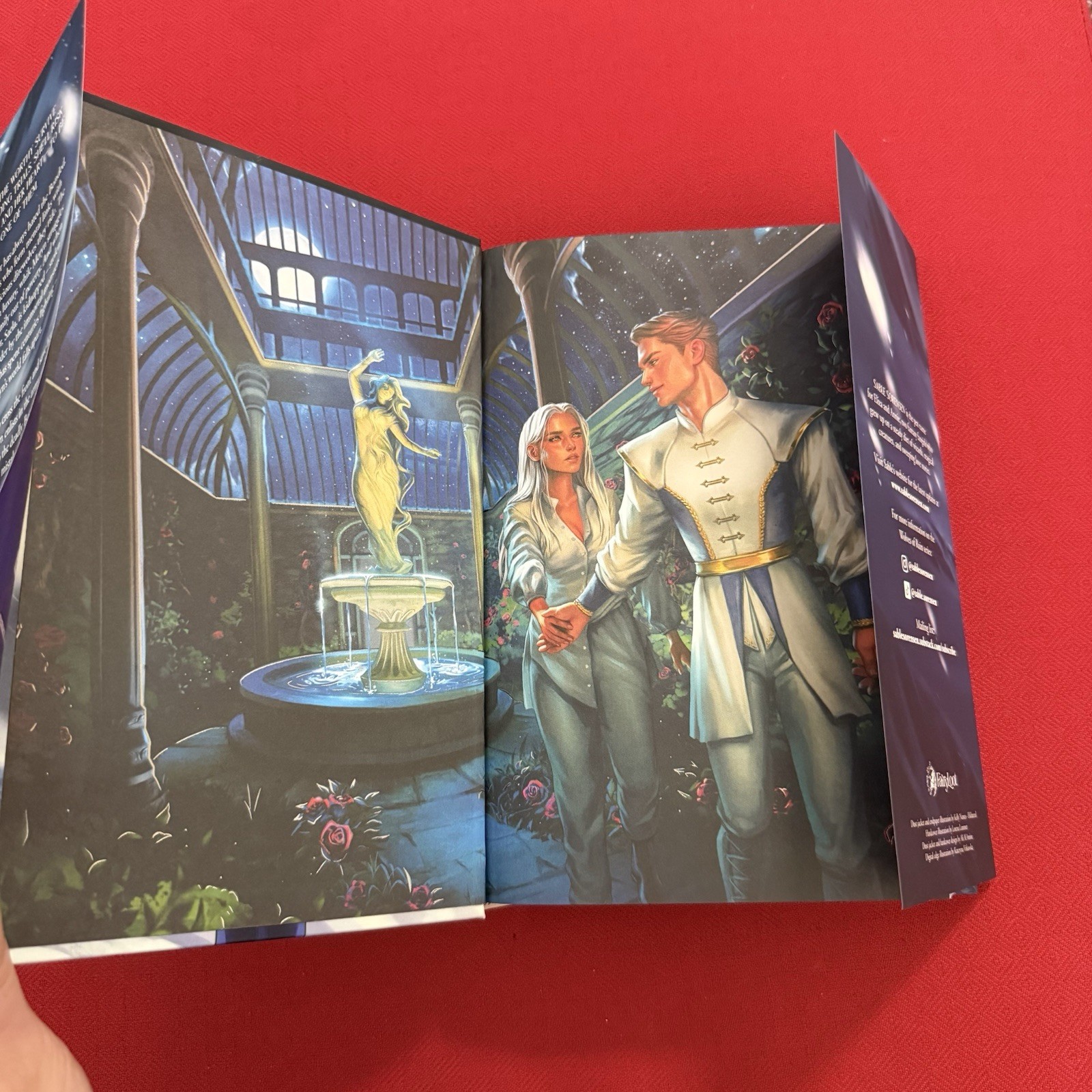 Dire Bound by Sable Sorensen FairyLoot Exclusive Edition – Hardcover Unsigned