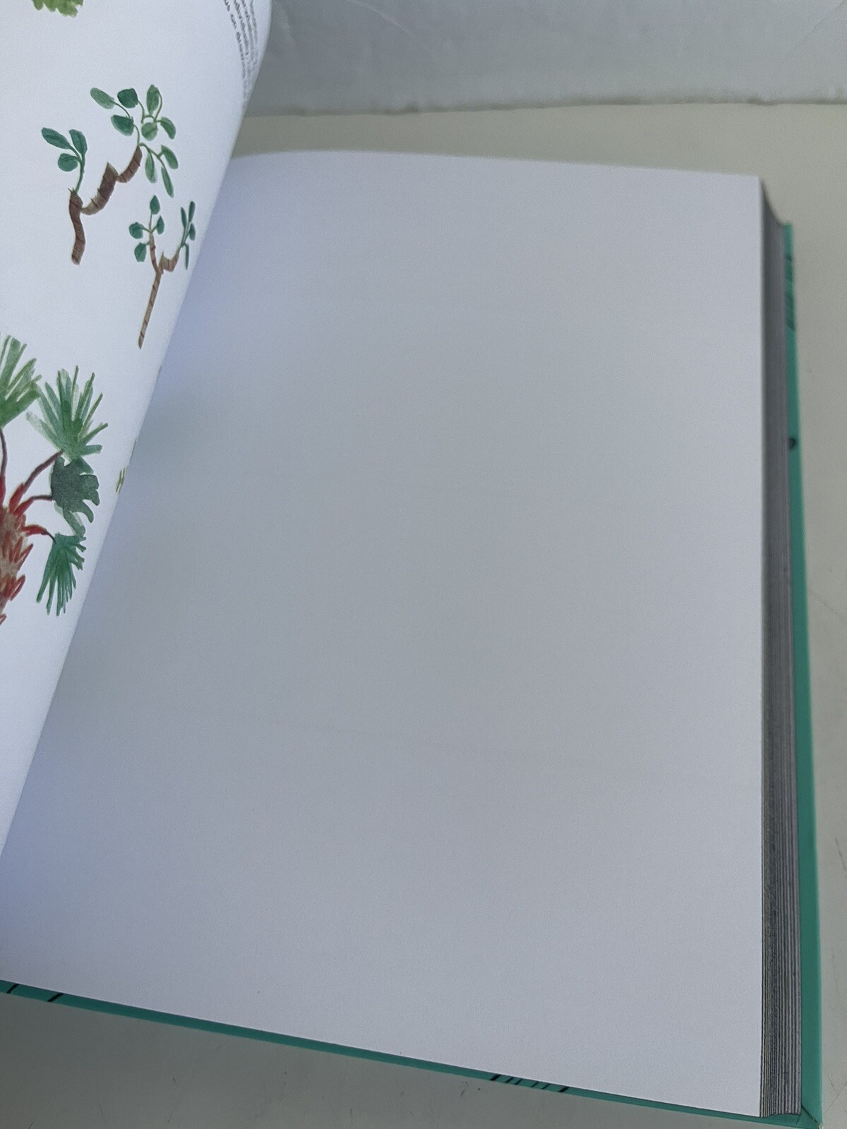 365 Days of Art: A Creative Exercise for Every Day of the Year