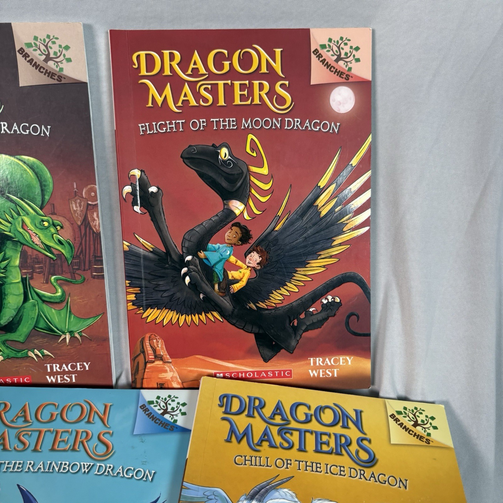 Dragon Masters Book Lot of 9 By Tracey West for Ages 6-8 – Different Adventures