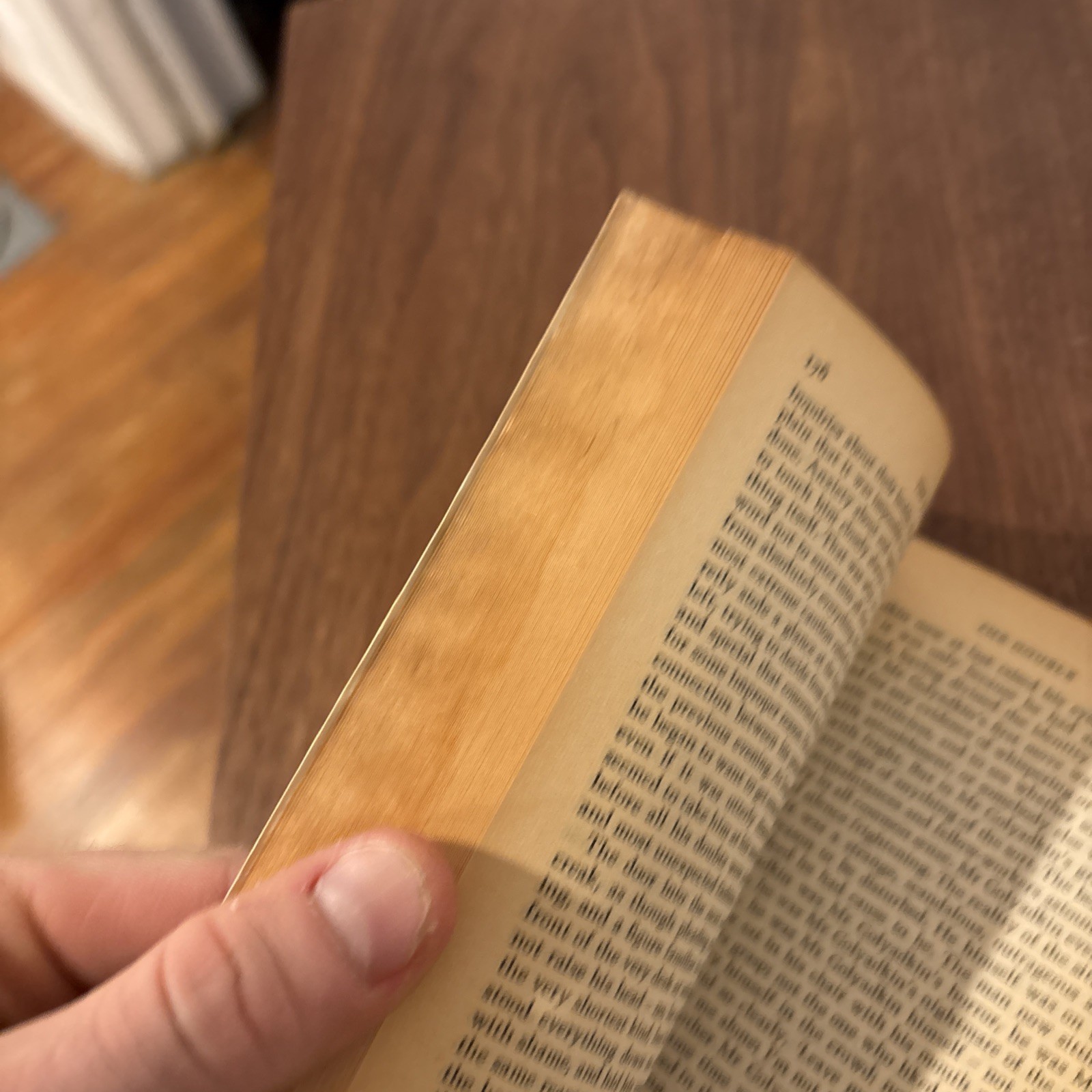 Notes from Underground the Double: The Double ROUGH PB6