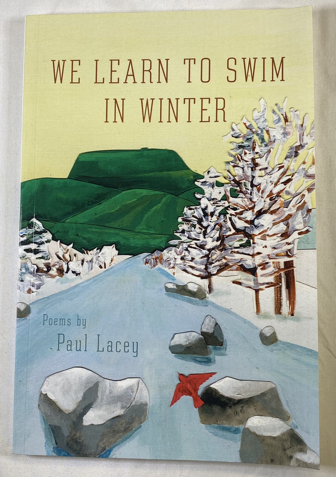 We Learn To Swim In Winter Paul Lacey