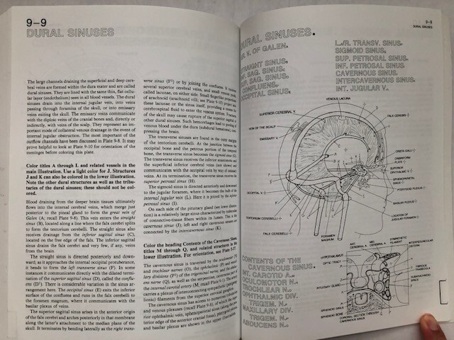 The Human Brain Coloring Book by Diamond, Scheibel, Elson (301 pages no damage)