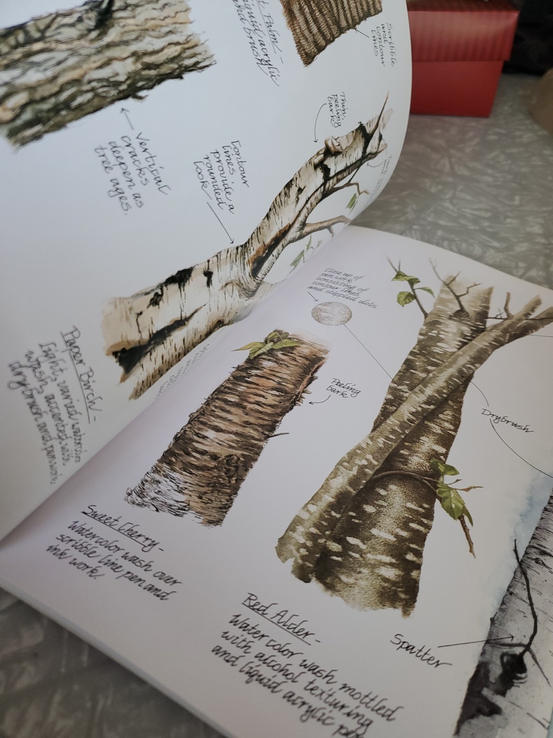 Painting with Watercolor, Pen and Ink Paperback Claudia Nice. illustrated 2001