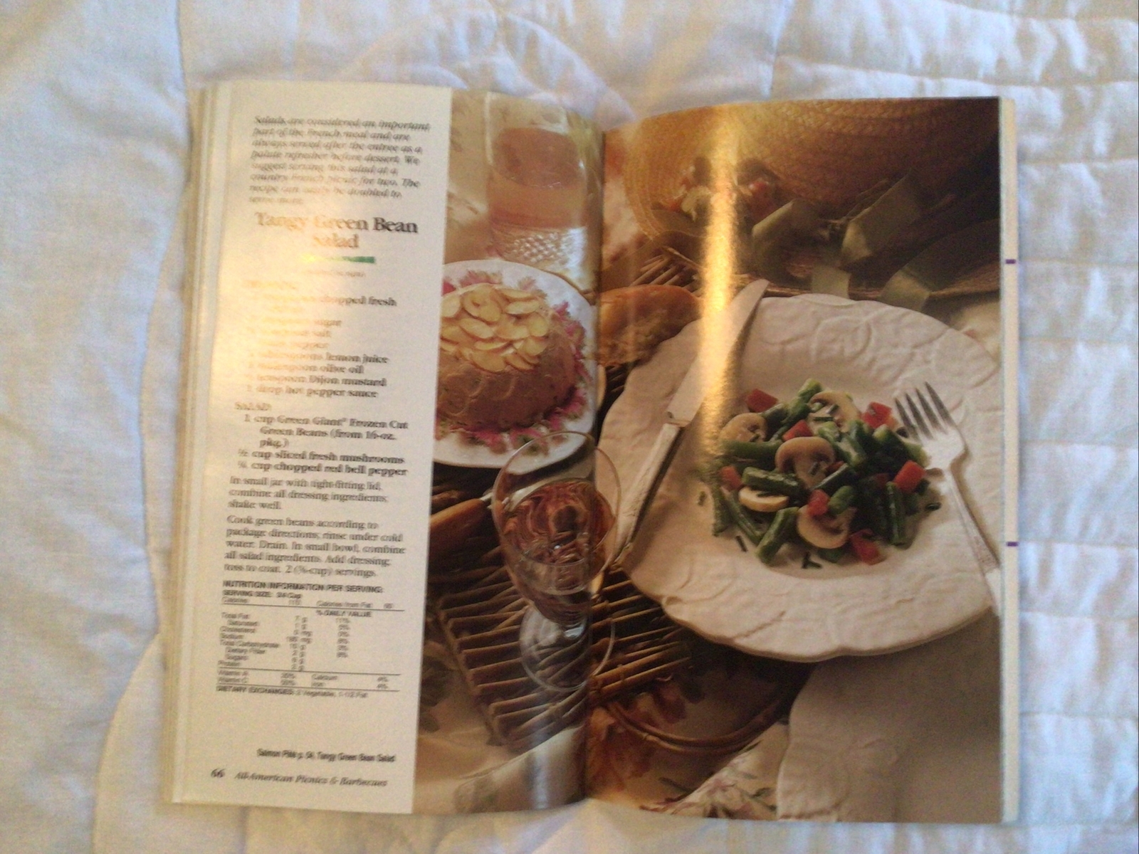 Pillsbury Classics Cookbook ALL American Picnics & Barbecues #172 1995 94 Pages