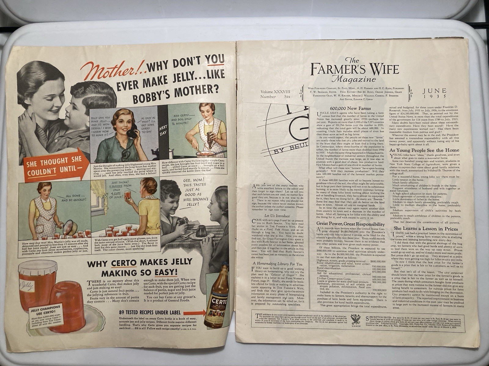 The Farmer’s Wife Magazine June 1935 Jules Erbit Cover Vtg Ads Articles Recipes