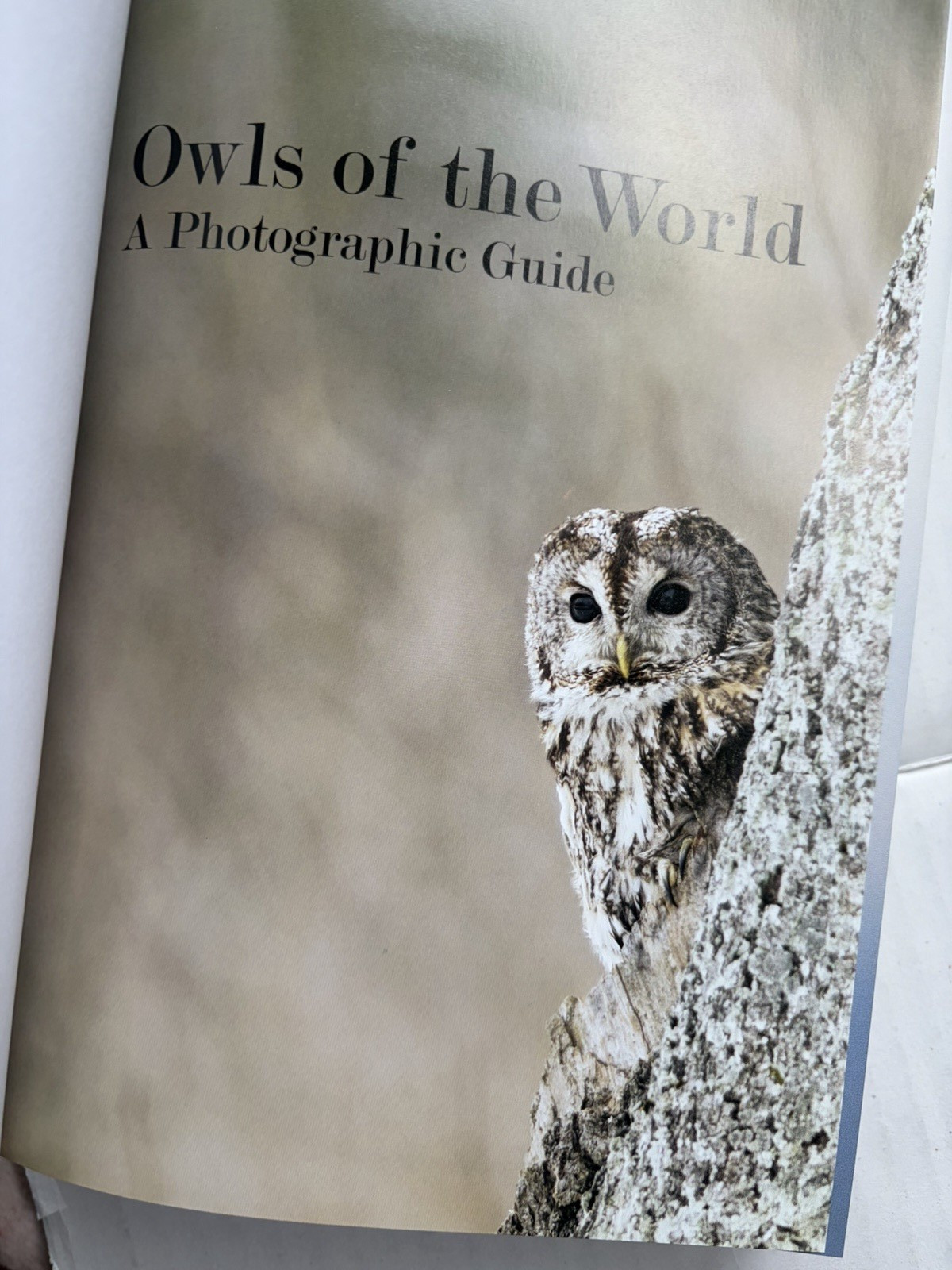 Owls of the World : A Photographic Guide Hardcover Heimo Mikkola