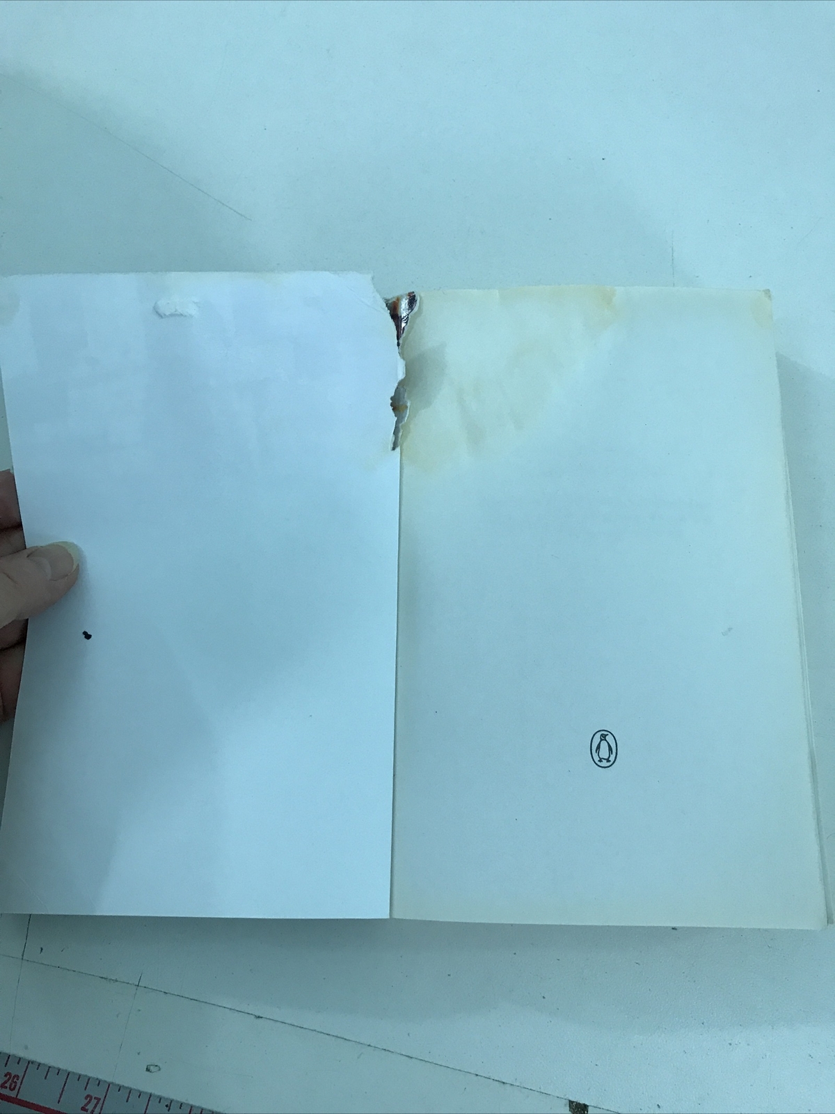 After You’d Gone – Maggie O’Farrell (Paperback, 2002)