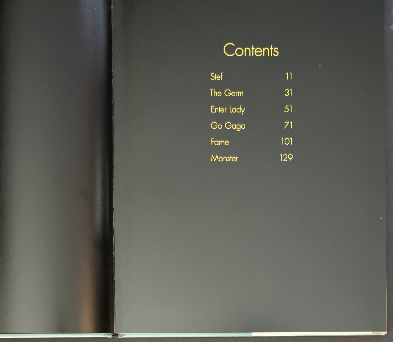 Johnny Morgan Gaga 2010 Book Hardcover 160 Pages *PLEASE READ*