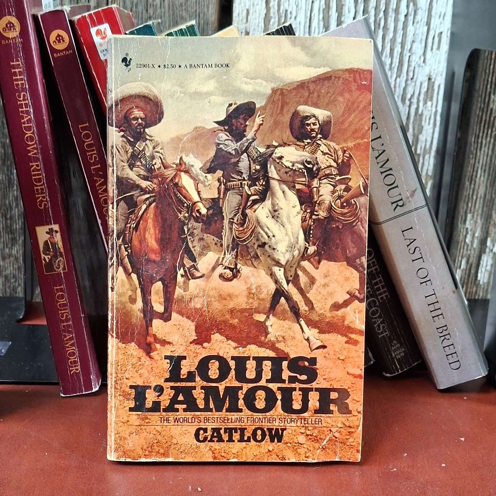 Louis L’Amour Western Lot (18 Books) Frontier Adventure Set