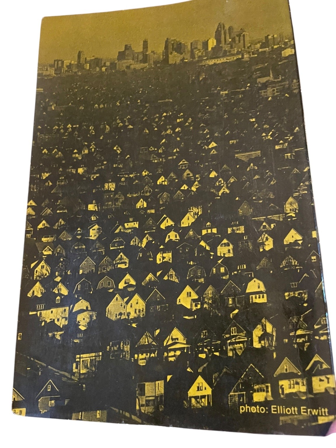 Ecocide and Population Michael E Adelstein Jean G Pival 1972 St Martin’s Press