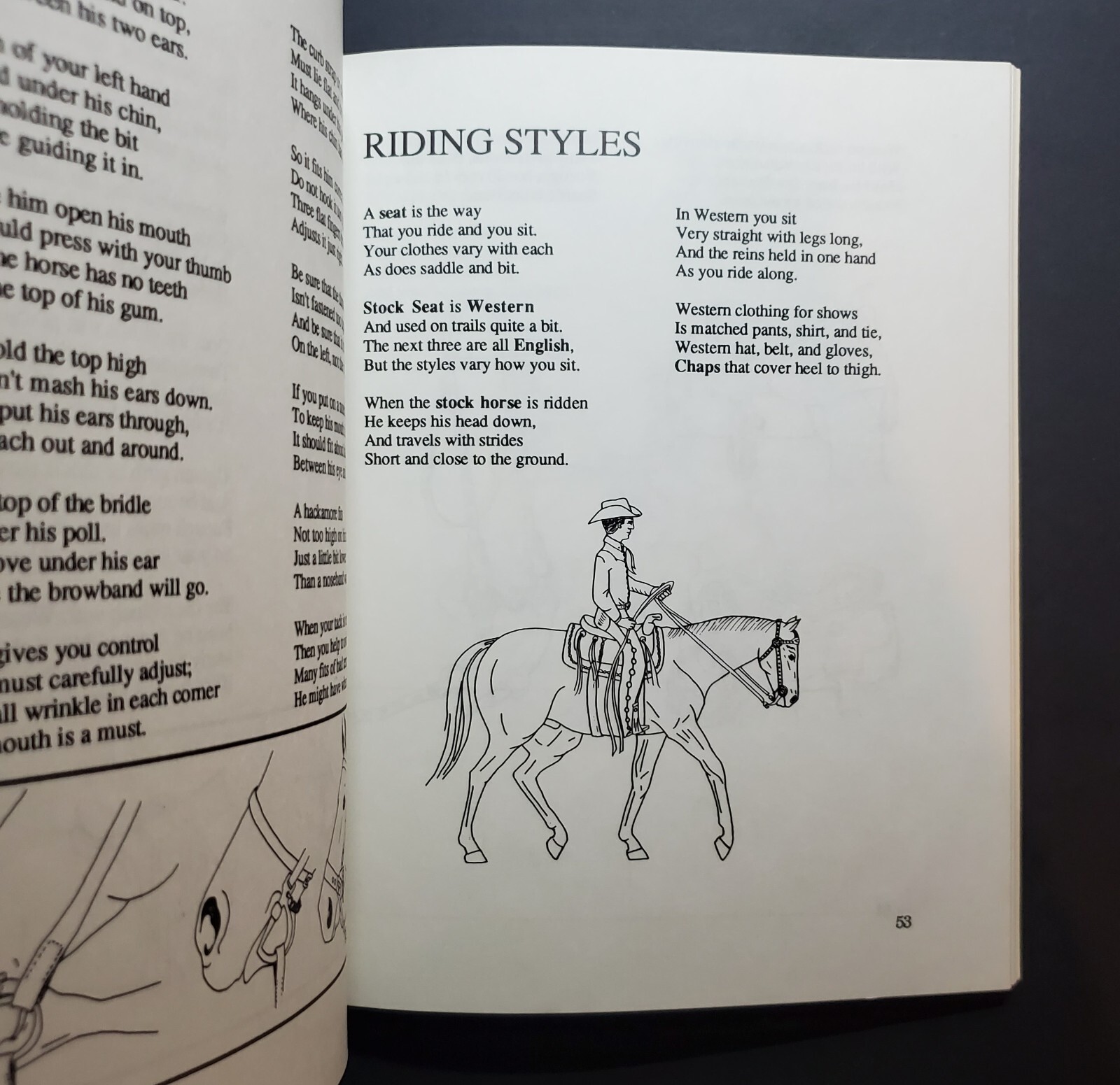 Horses : From Grooming to Galloping by Sabra Silva (1990, Trade Paperback)