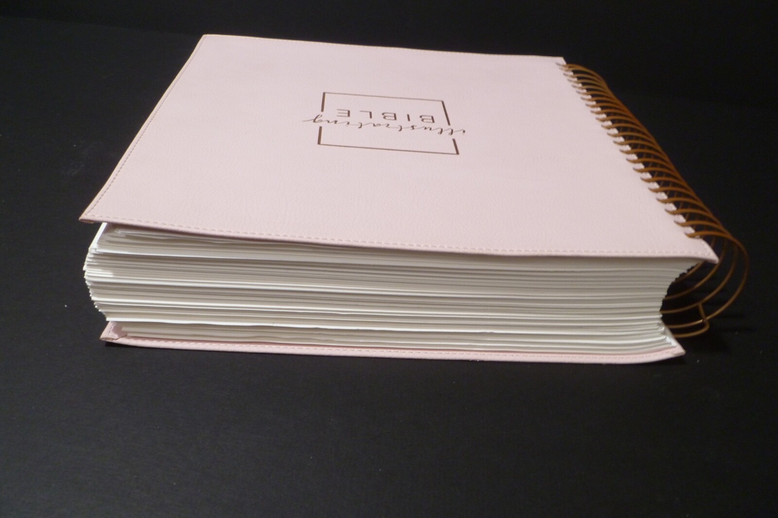 Illustrating Bible NIV Pink by Dayspring (2020, Spiral)