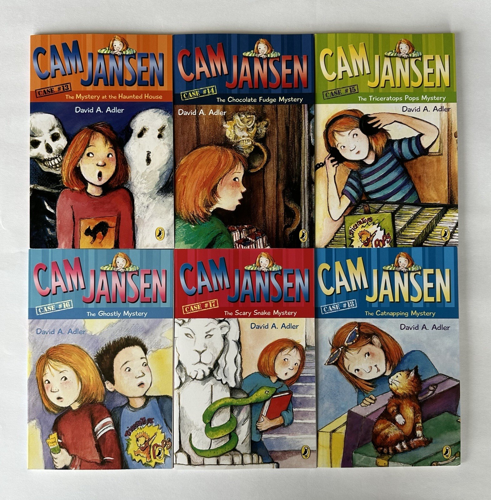 Cam Jansen Children’s Mystery Books Set by David Adler Lot 34