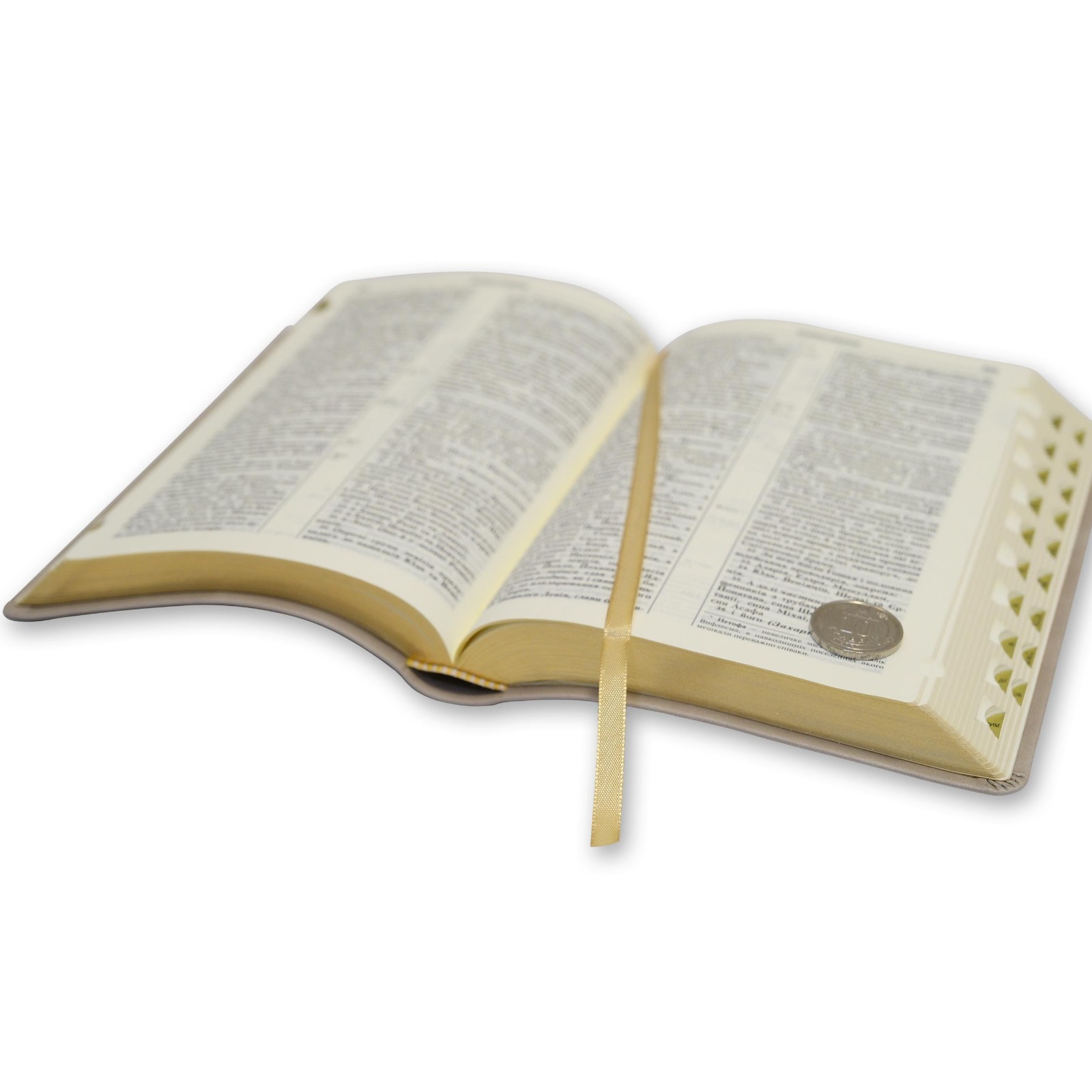 Bible in Ukrainian „БІБЛІЯ“ сучасний український переклад 14.5х20.5см