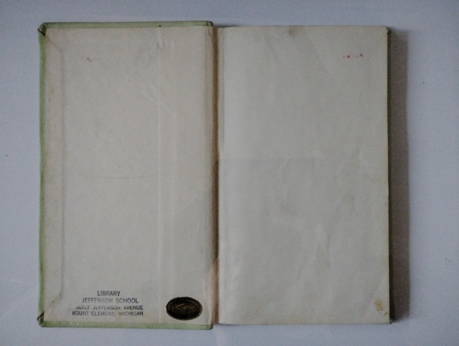 And It Rained Ellen Raskin 1969 1st Edition Atheneum Tea with Jungle Animals HC